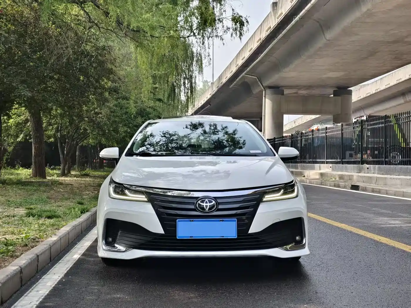 TOYOTA ASIAN LION