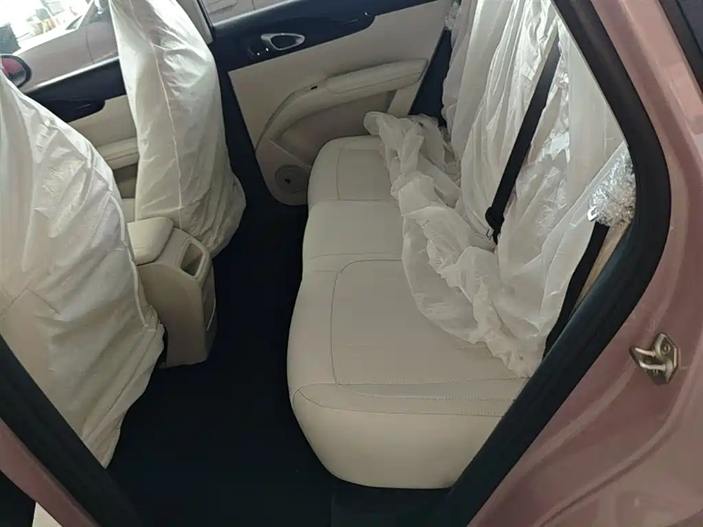 Geely Galaxy Starry Wish 2026 Edition 310km Youth Version фото 17
