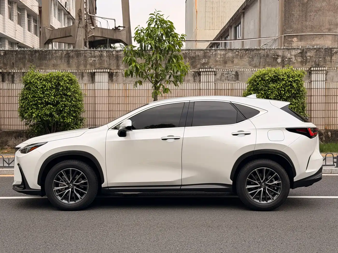 Lexus NX 2024 2024 260 FWD Innovation Edition