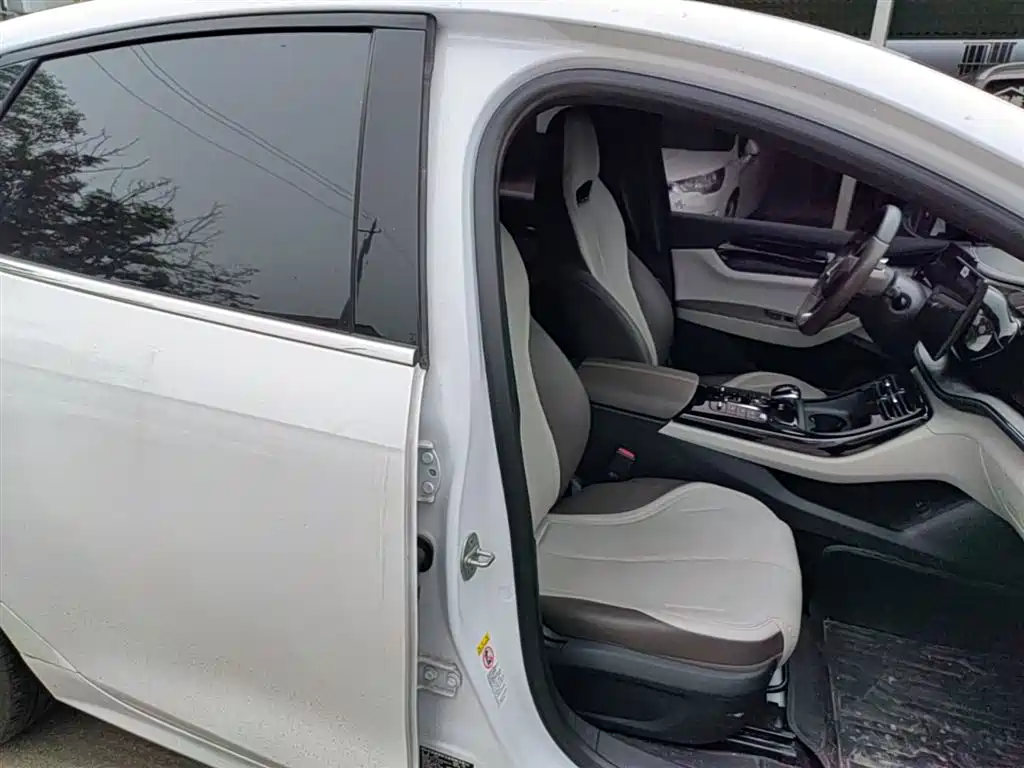 BYD Qin PLUS 2023 Champion Edition DM-i 55KM Leading фото 25
