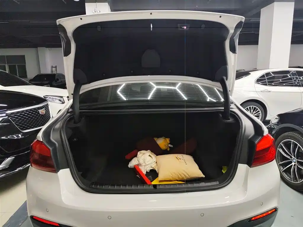 BMW 5 Series 2019 530Li Leading M Sport Package фото 19