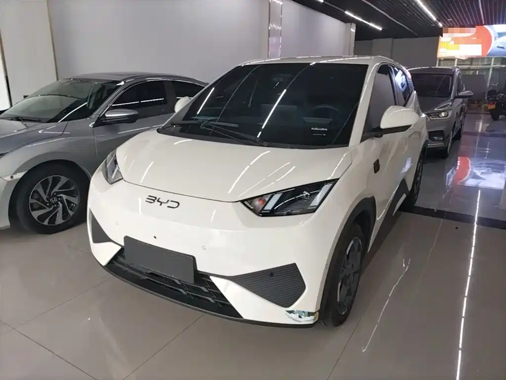 BYD Seagull 2025 Smart Drive Edition 305km Freedom Version фото 2