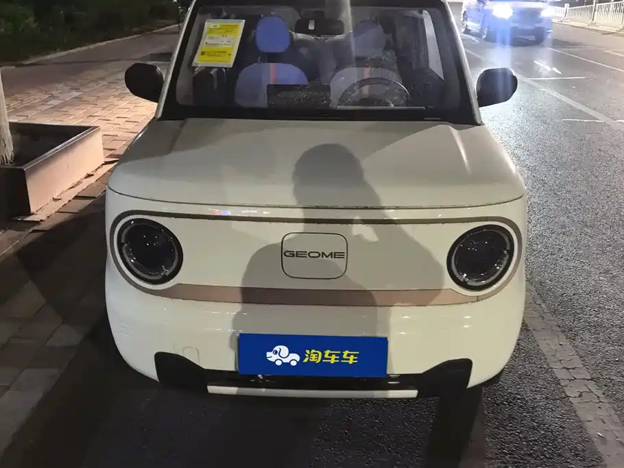 GEELY GALAXY PANDA