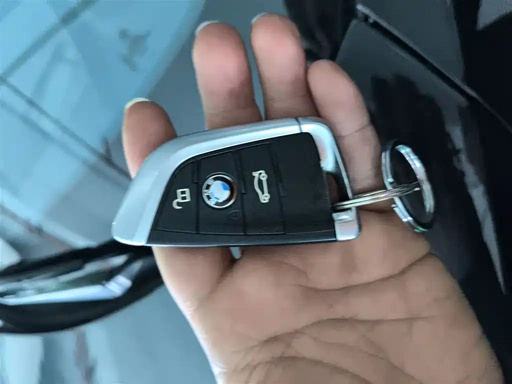 BMW X5 (Import) 2014 xDrive35i Leading фото 17
