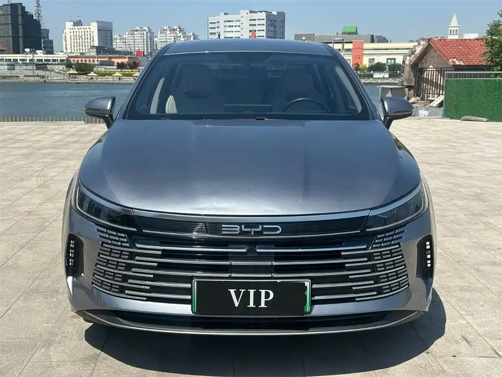 BYD Destroyer 05 2024 Glory Edition DM-i 55KM Luxury фото 3