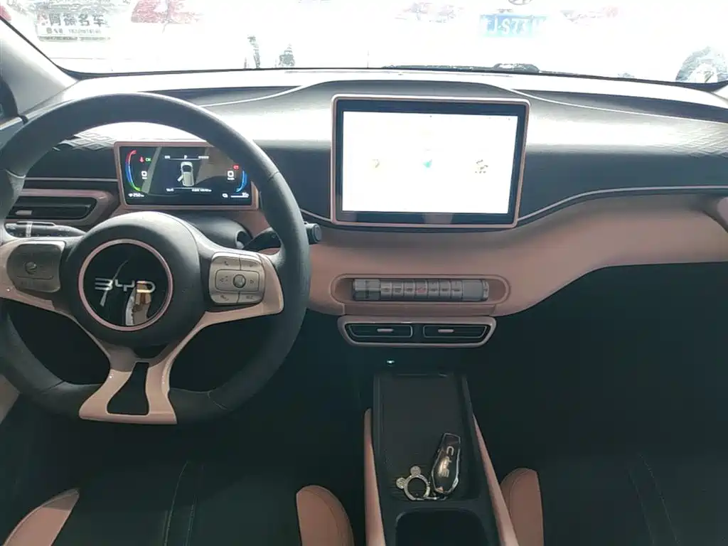 BYD Seagull 2024 Glory Edition 305km Vitality Edition фото 13