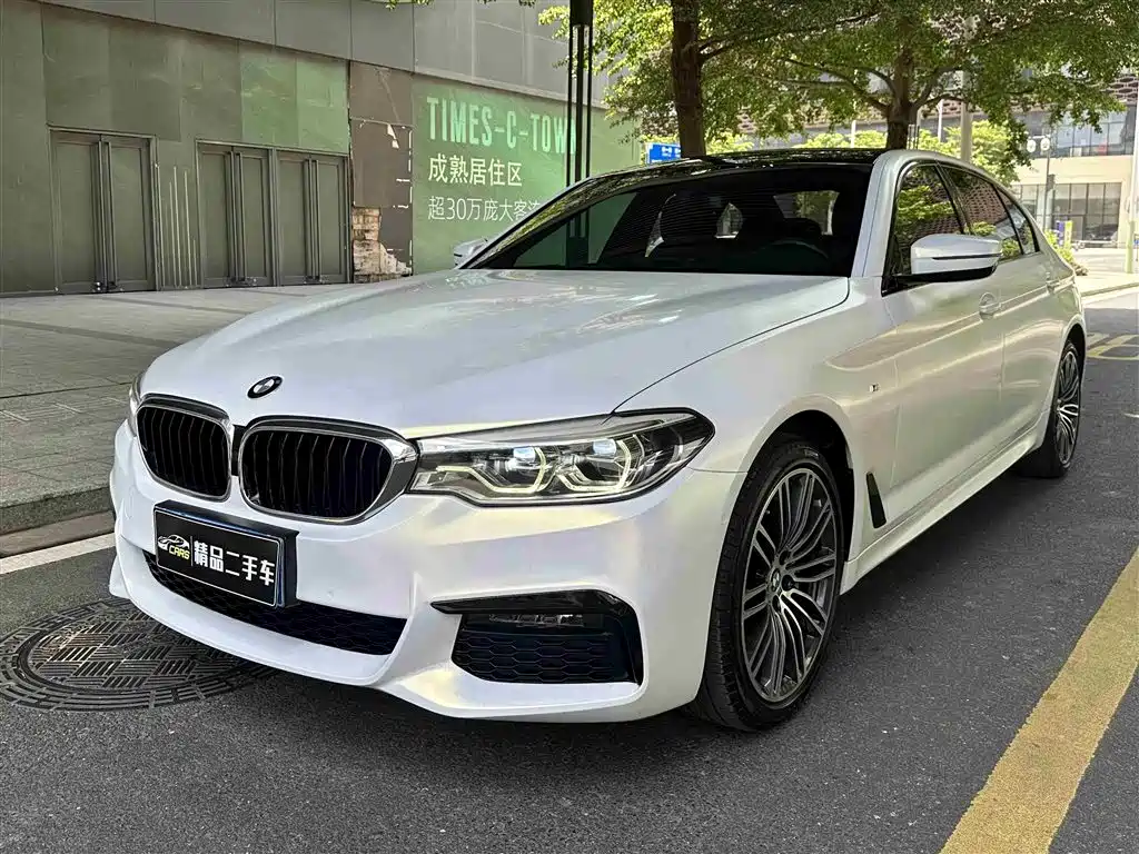 BMW 5 Series 2019 530Li Leading M Sport Package
