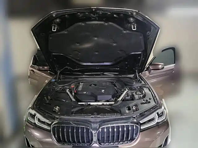 BMW 5 Series 2021 530Li Leading Luxury Package — фото 3