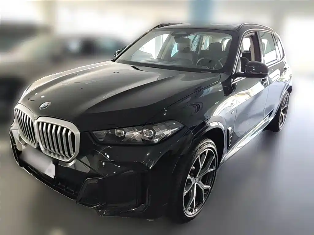 BMW X5 2023 xDrive 30Li Premium M Sport Black Night Package фото 2