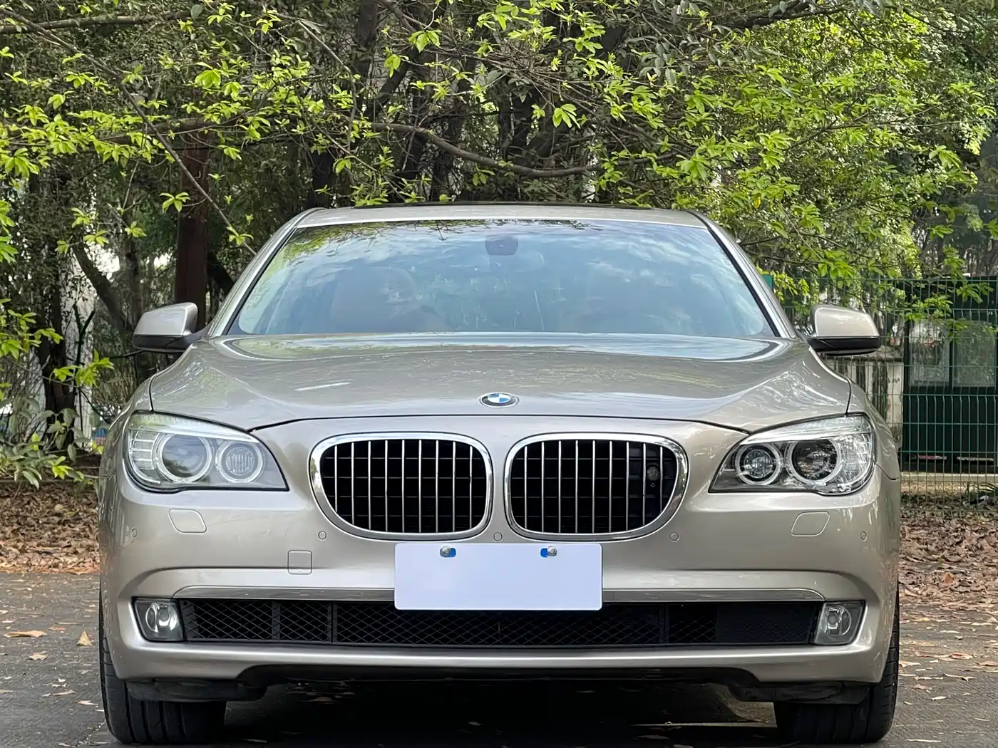 BMW 7 Series 2009 740Li Premium фото 2