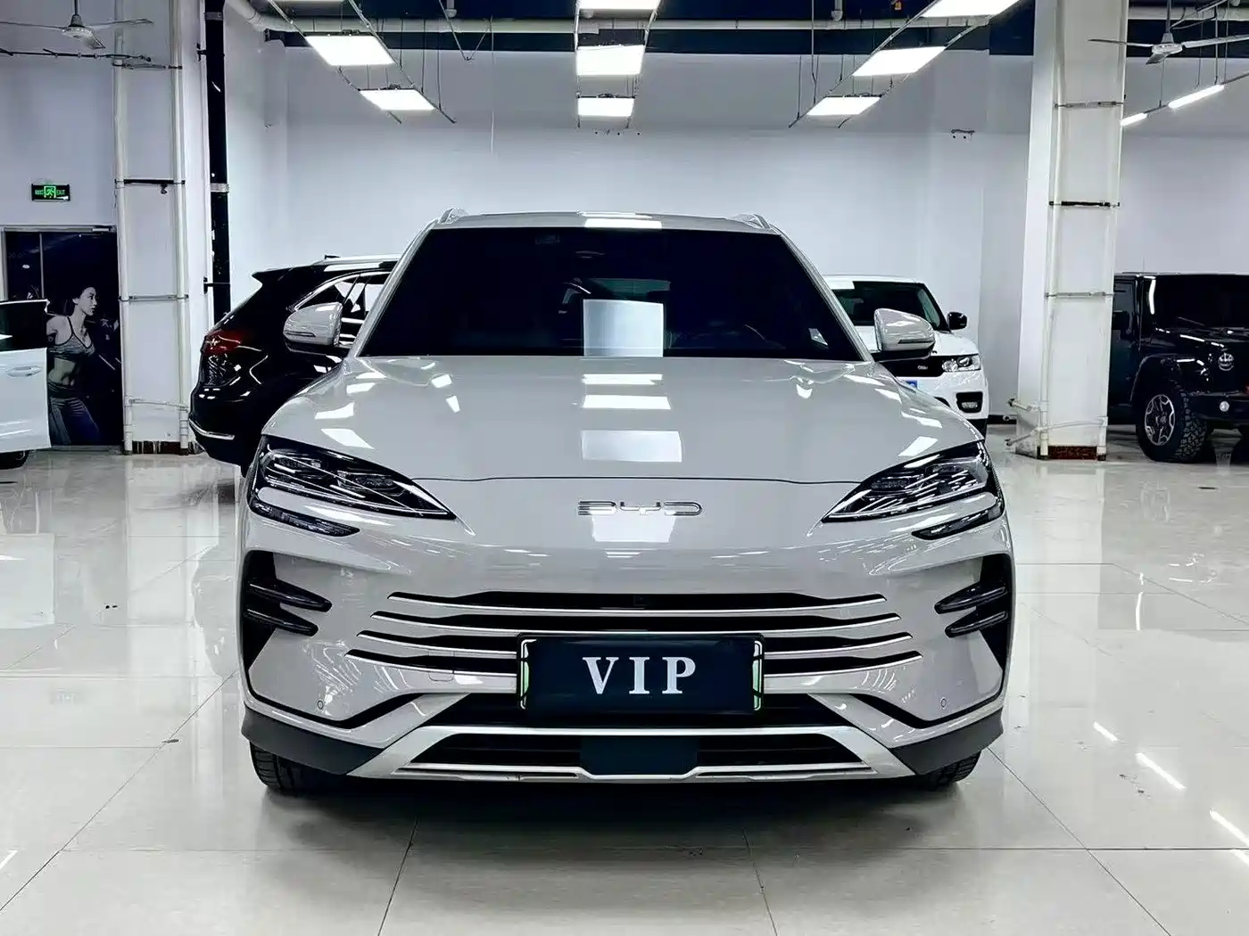 BYD Song PLUS PHEV 2024 Glory Edition DM-i 110km Flagship фото 2