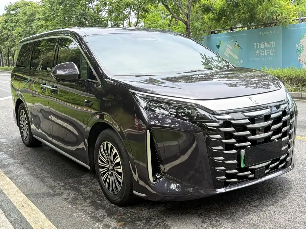 BYD Xia 2025 2025 DM-i 1.5T 100km Surpass Edition