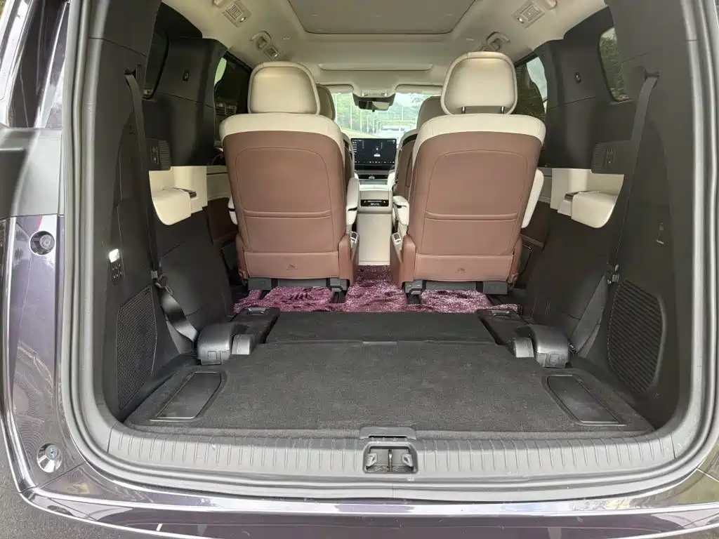 BYD Xia 2025 2025 DM-i 1.5T 100km Surpass Edition