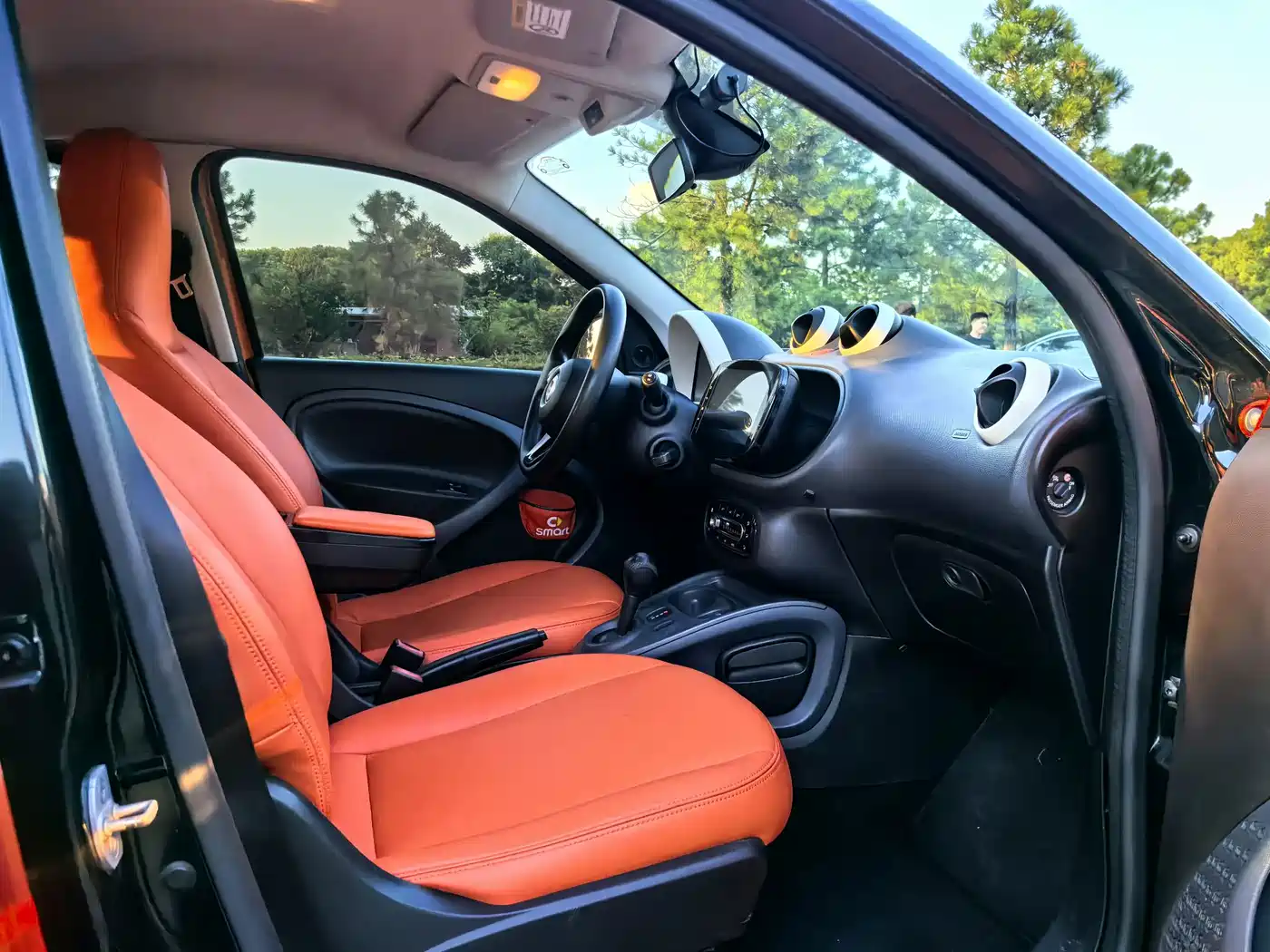 Фото 7 - smart forfour