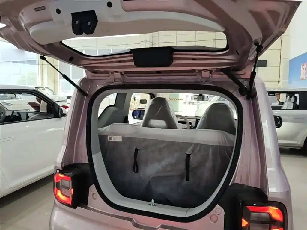Geely Galaxy Panda 2025 Panda mini 210km Vitality Bear фото 19