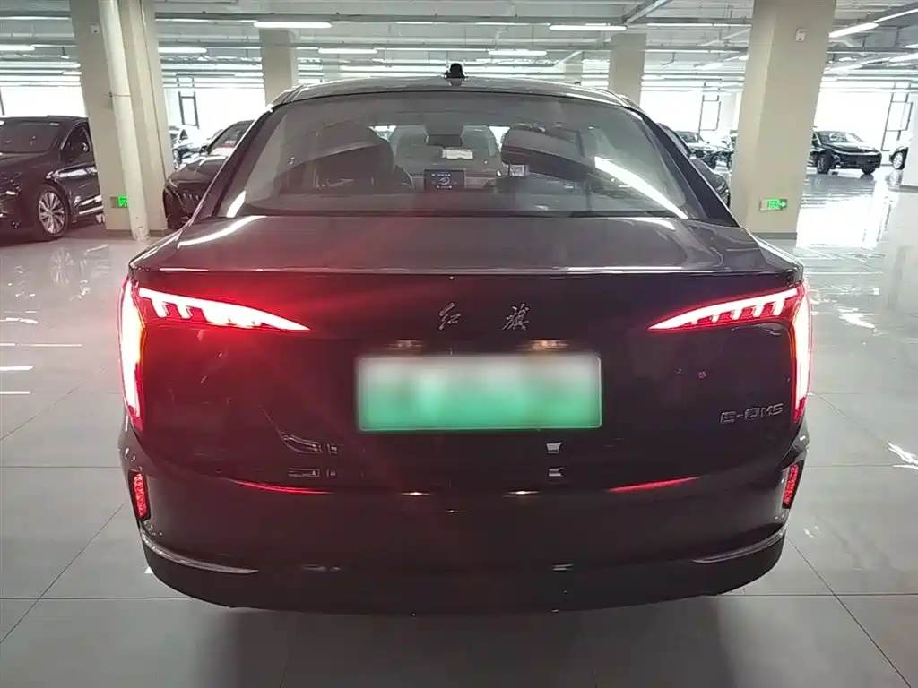 Hongqi E-QM5 2023 Facelift Basic Travel Edition фото 6