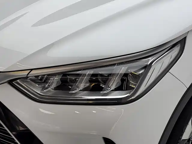 BYD Song PLUS PHEV 2021 DM-i 51KM Honor фото 11