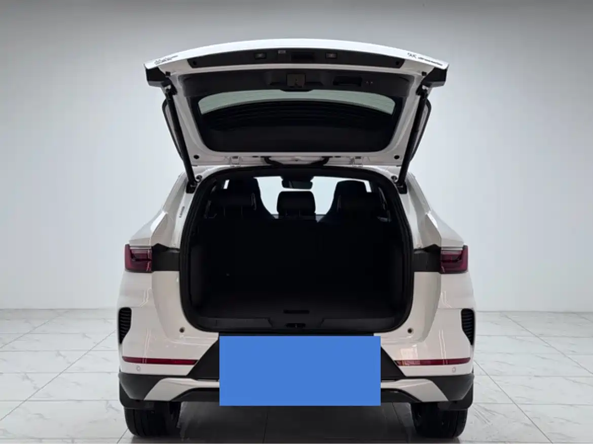 BYD Song PLUS PHEV 2021 DM-i 51KM Honor фото 10