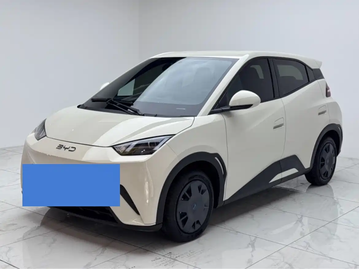 BYD Seagull 2025 305km Vitality