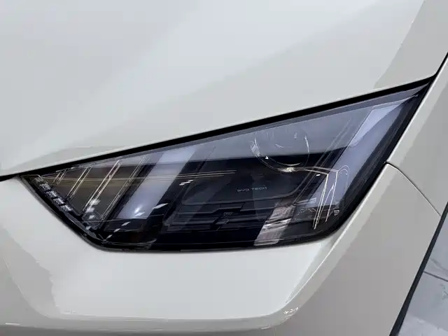 BYD Seagull 2025 305km Vitality фото 13