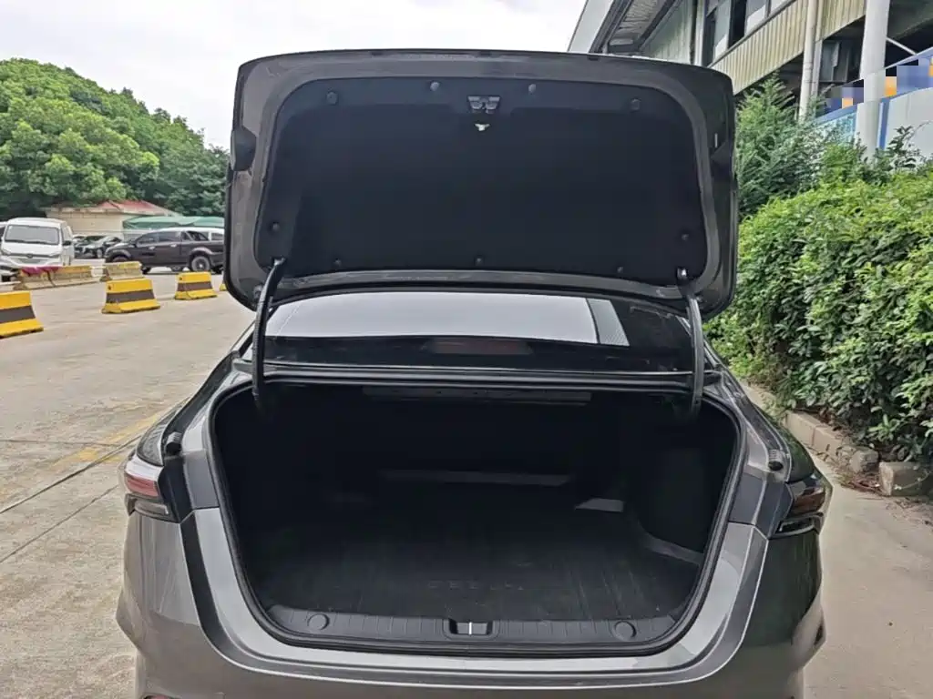 Photo 19 - Geely Binrui