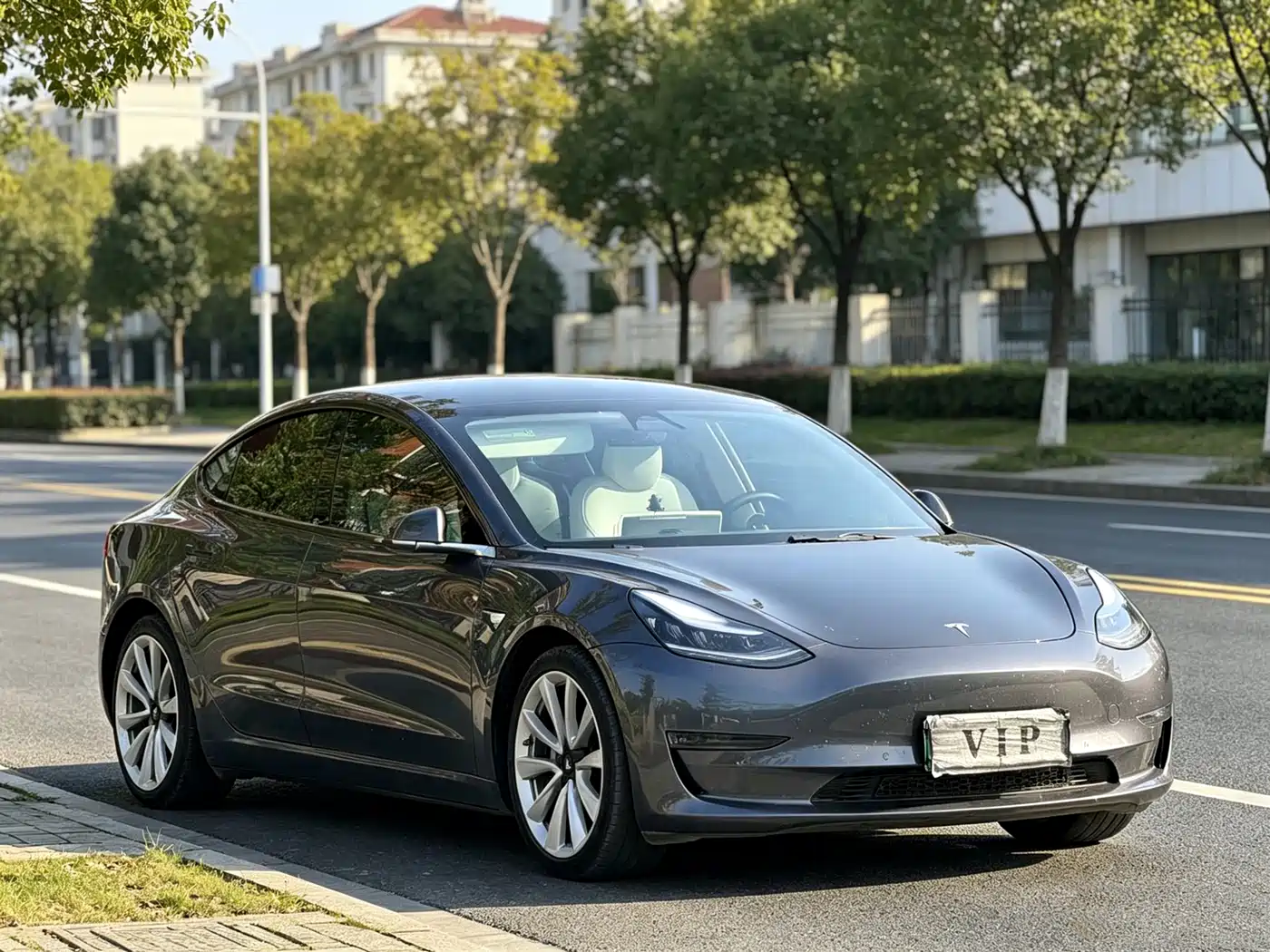TESLA MODEL 3 (IMPORTED)
