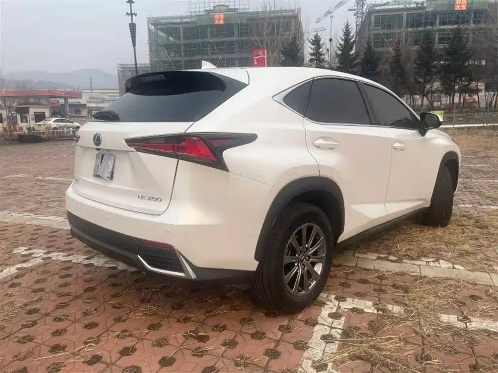Lexus NX 2018 200 FWD Sharp Edition China VI фото 7