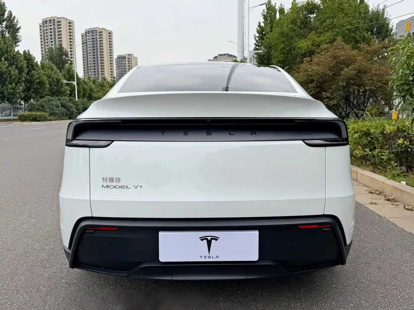 Tesla Model Y 2026 2026 Facelift Long Range Rear-Wheel Drive