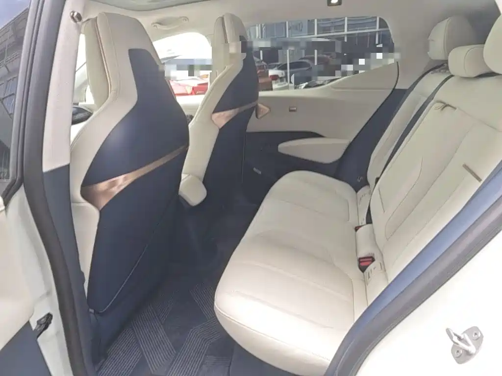 ZEEKR X 2024 2025 5-Seater Long Range Edition