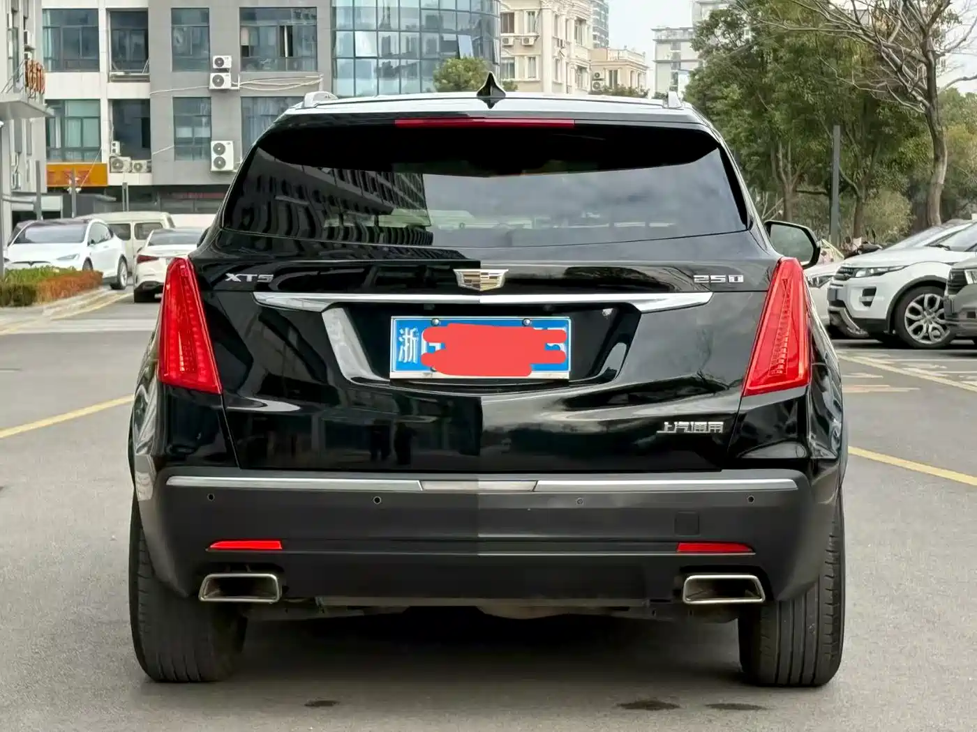 Cadillac XT5 2018 25T Luxury фото 8