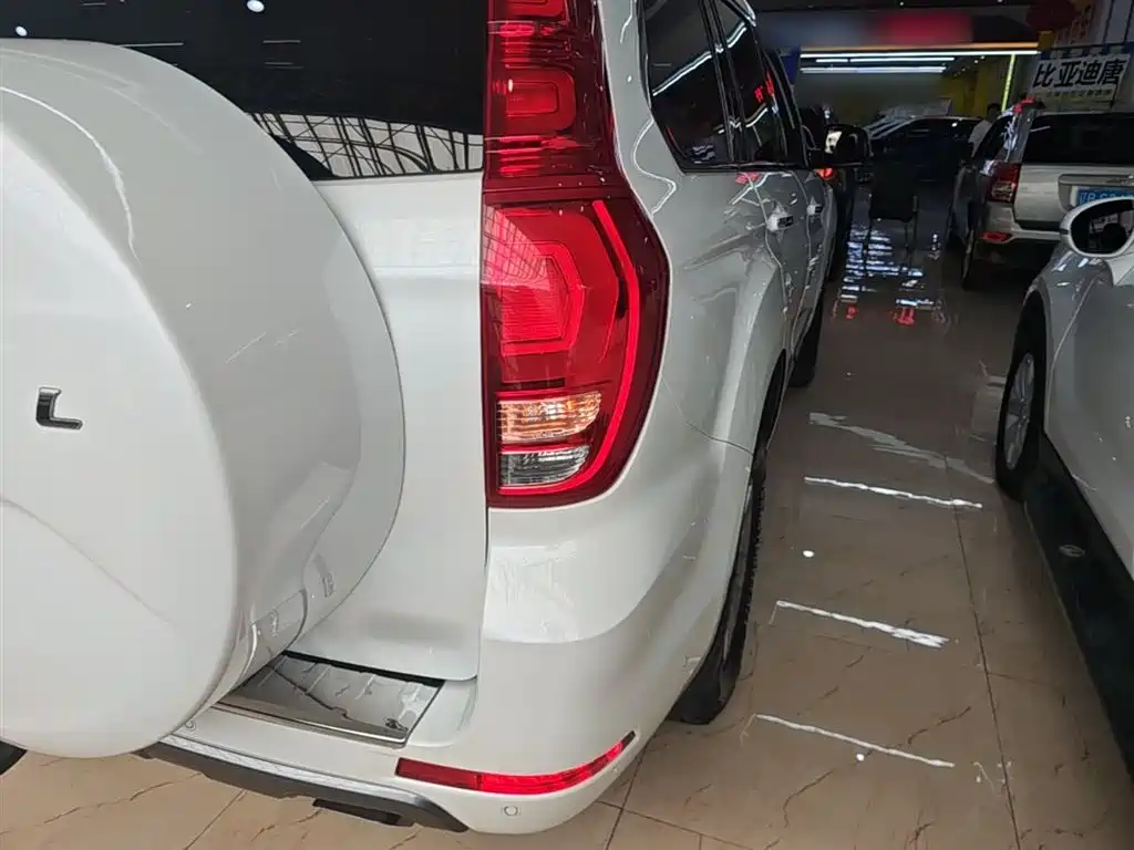Haval H9 2020 2.0T Gasoline AWD Premium 7-Seater фото 8
