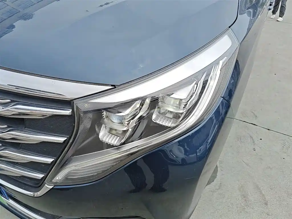GAC Trumpchi Trumpchi M8 2020 390T Prestige фото 24