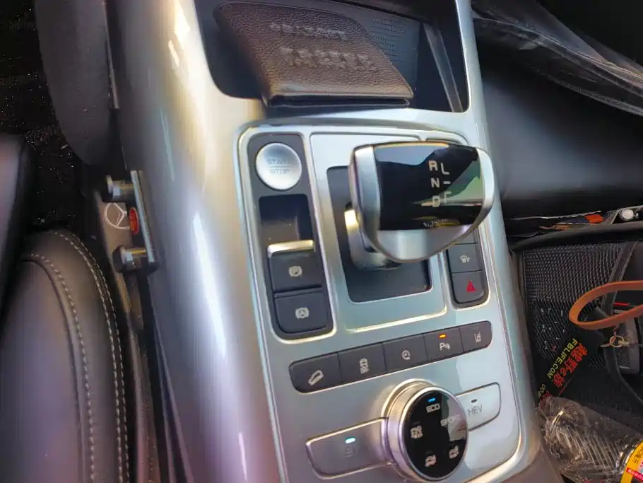 Denza X 2021 2020 Model PHEV Flagship Edition