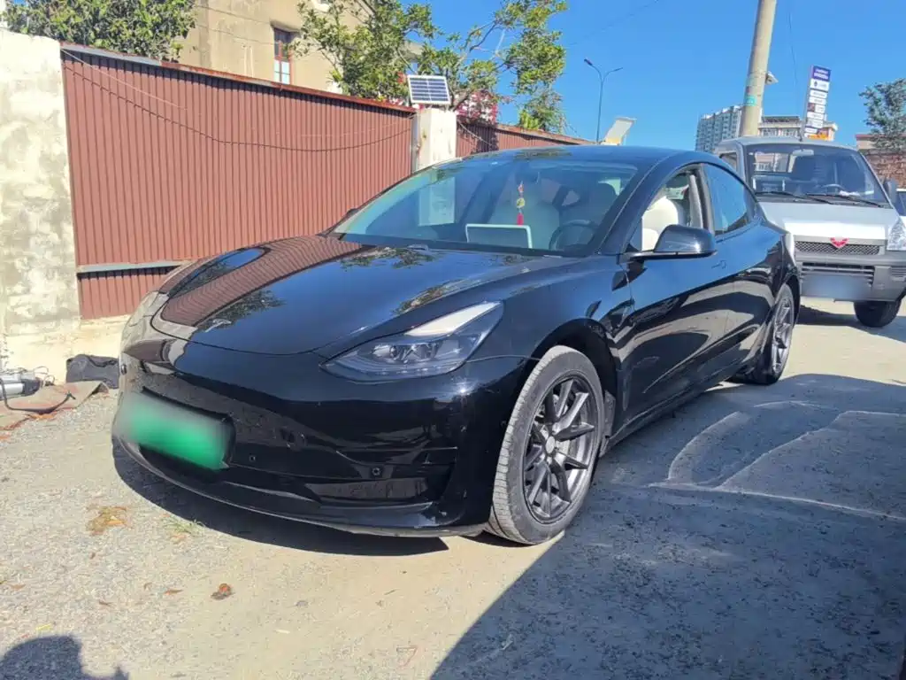 Tesla Model 3 2021