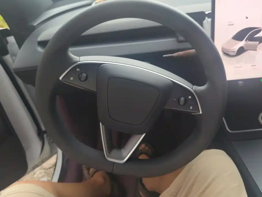 Tesla Model Y 2026 2025 Model Rear-Wheel Drive Launch Edition