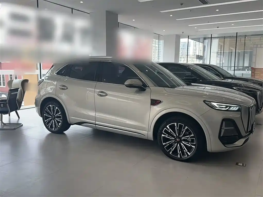 Hongqi HS5 2023 2.0T 4WD Flag Leader Pro фото 14