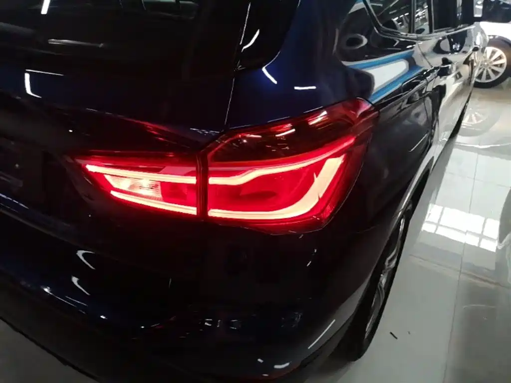 BMW X1 2019 xDrive20Li Luxury Model фото 8