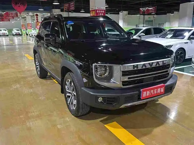 Haval Dargo 2025 2024 1.5T DCT Border Collie Edition