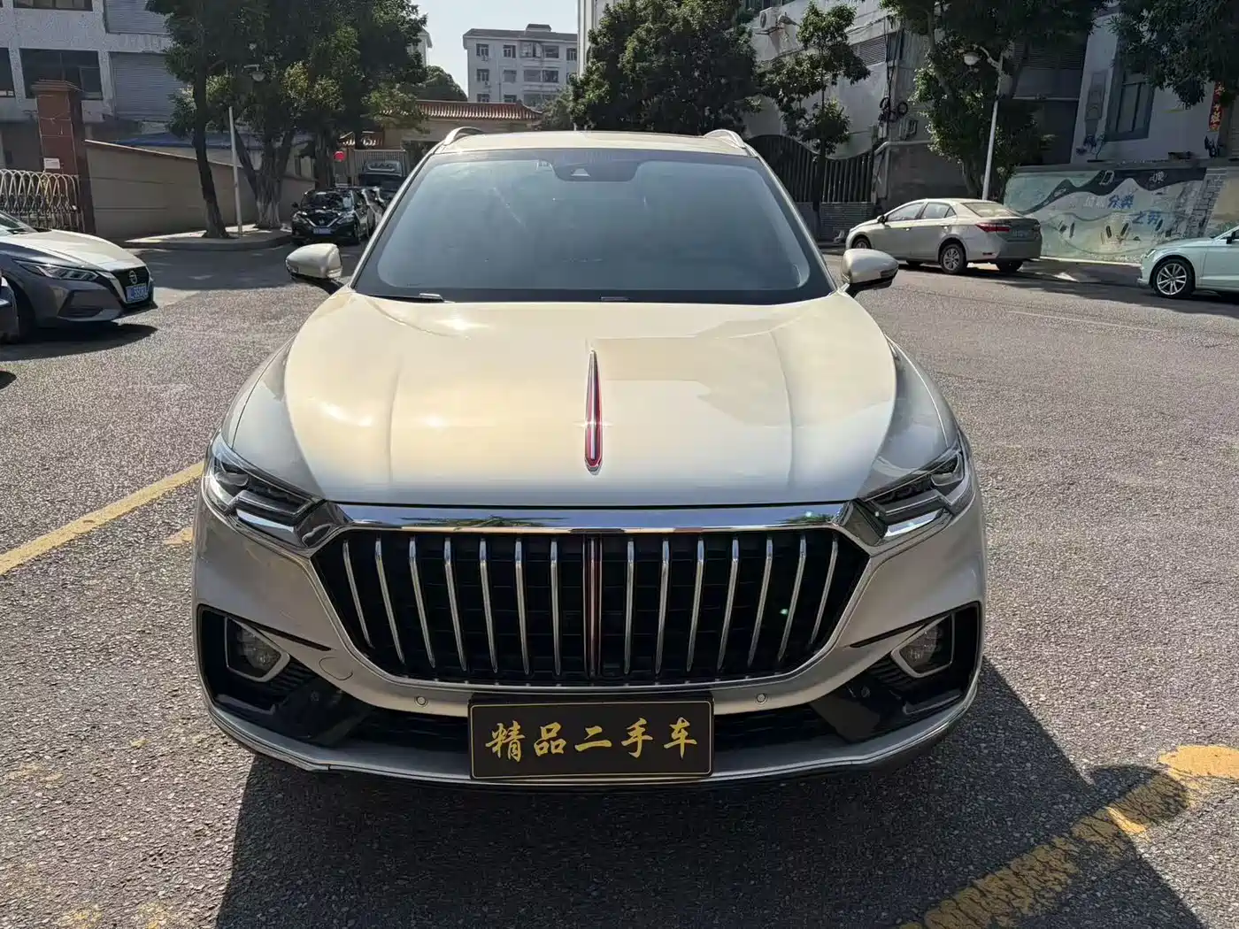 Hongqi HS5 2019 2.0T Smart Connect Enjoy 4WD Edition фото 2
