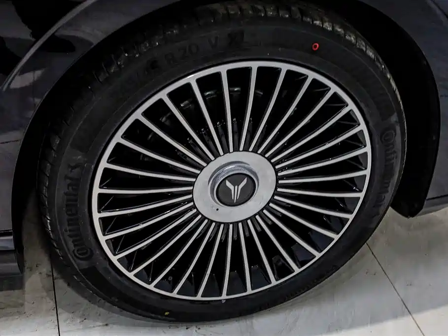 Voyah Auto VOYAH Zhuiguang L 2025 Mid-configuration Model фото 32