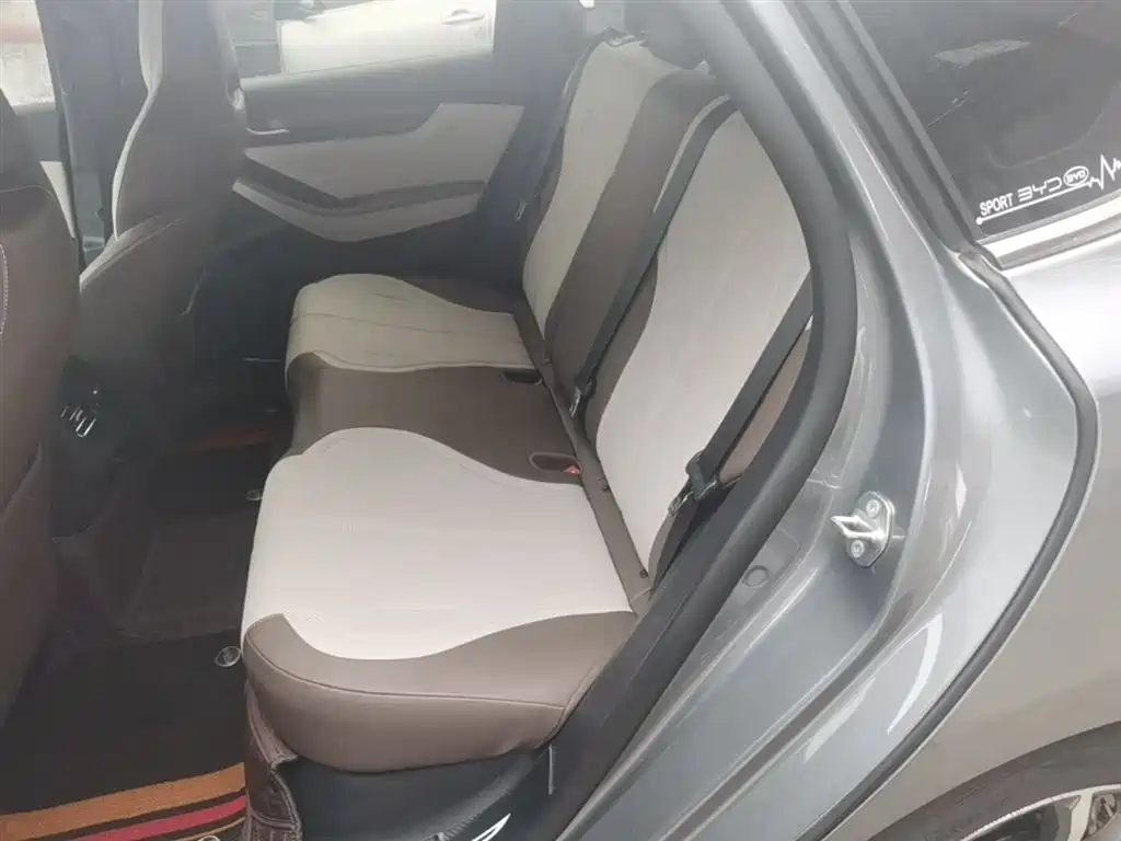 BYD Qin PLUS 2024 Glory Edition DM-i 55KM Leading фото 17