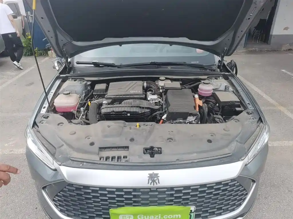 BYD Qin PLUS 2024 Glory Edition DM-i 55KM Leading фото 20