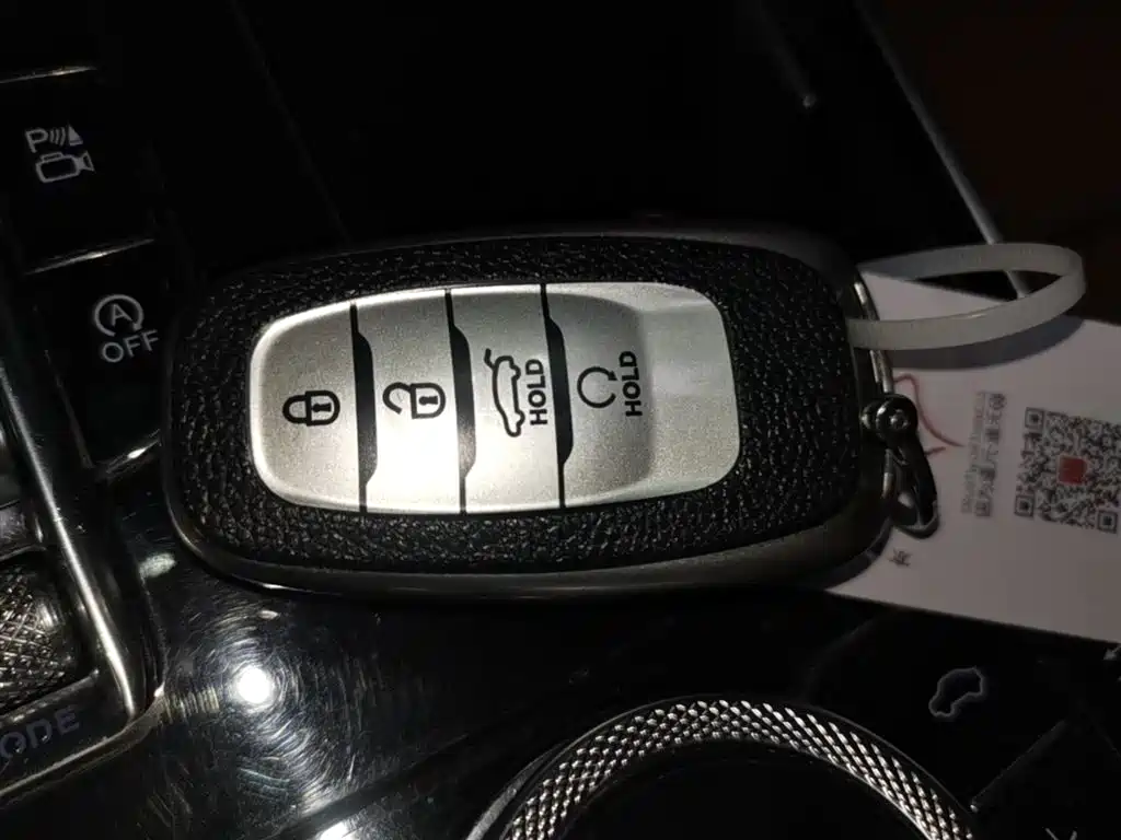 Hongqi H9 2022 2.0T Smart Connect Flag Smooth Edition фото 9