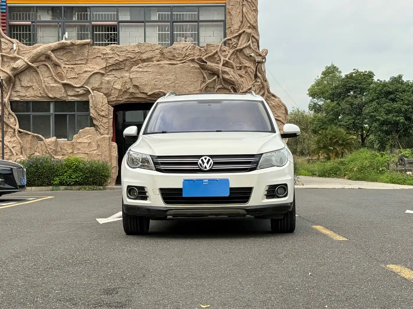 Volkswagen Tiguan 2012 1.8TSI Automatic 4WD Elite Edition фото 2