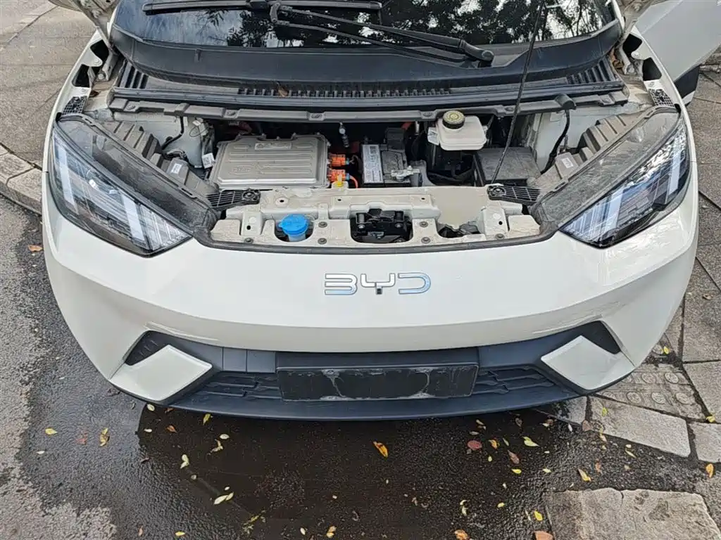 BYD Seagull 2024 Glory Edition 305km Vitality Edition фото 20