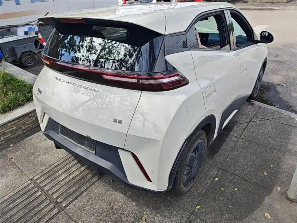 BYD Seagull 2024 Glory Edition 305km Vitality Edition фото 7