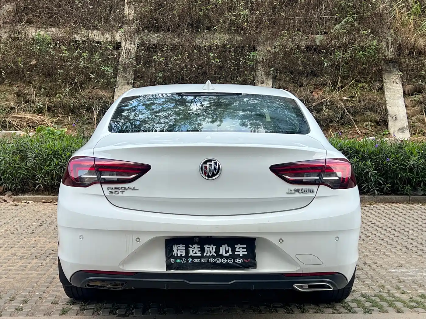 Buick Regal 2019 20T Luxury China VI фото 7