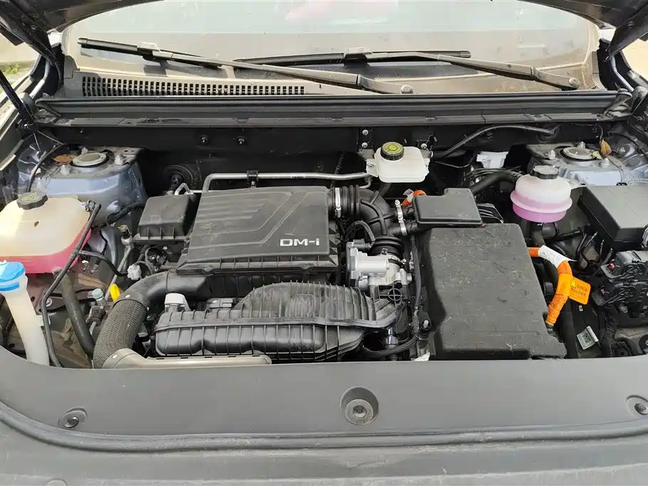 BYD Song Pro New Energy 2024 Glory Edition DM-i 110KM Excellence фото 10