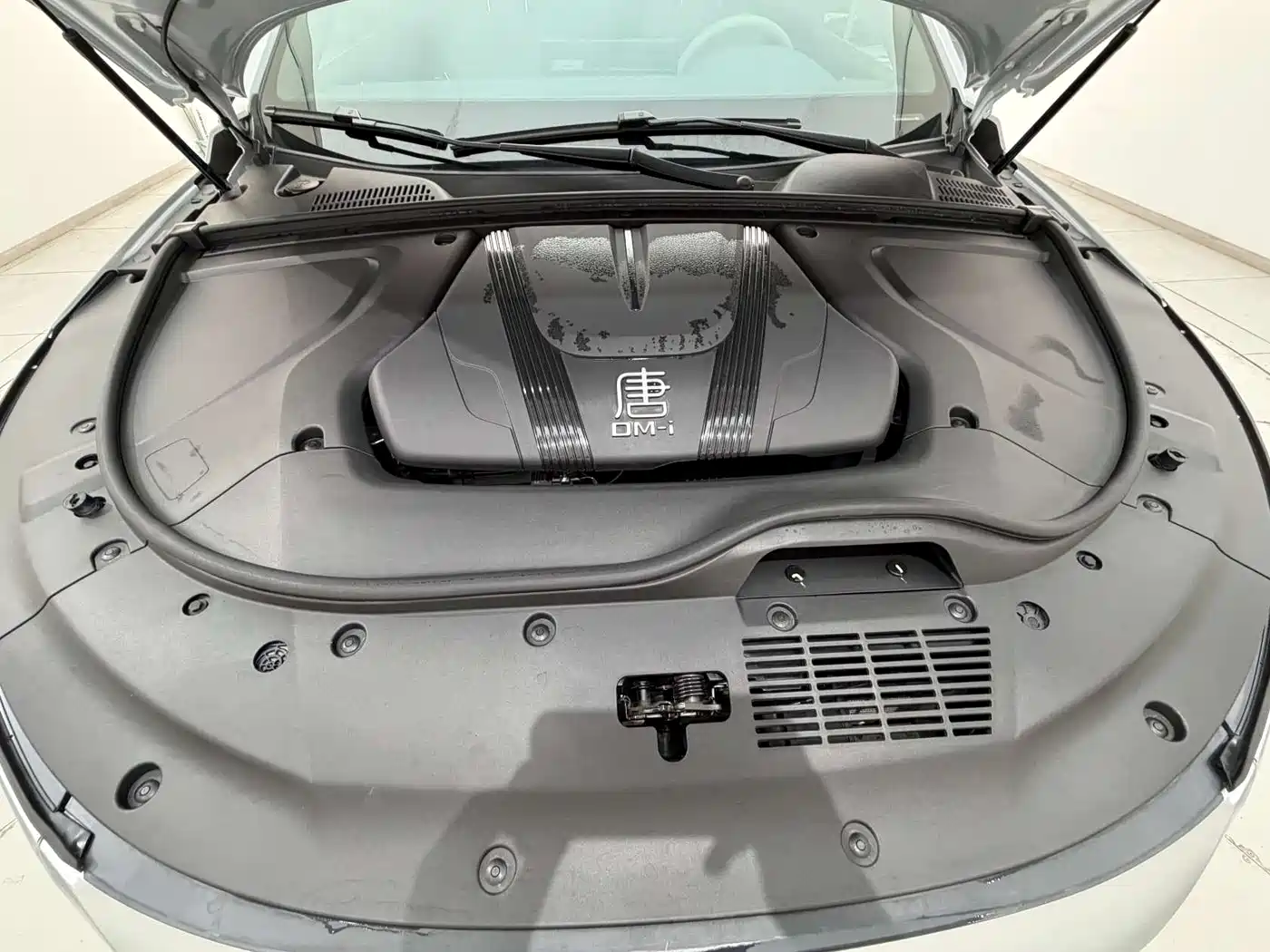 BYD Tang New Energy 2025 DM-i 115KM Prestige Type фото 17