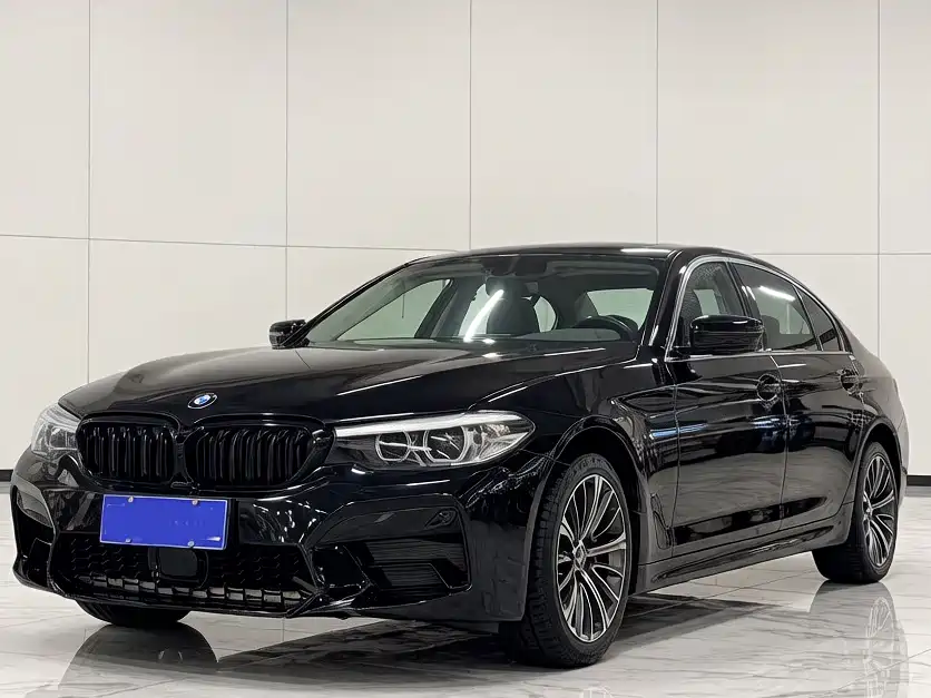 BMW 5 Series 2019 530Li Leading Luxury Package